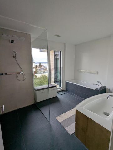 EXCLUSIVE 180° PANORAMIC VIEW OF LAKE ZÜRICH - Foto 4