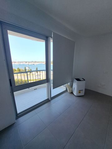 Modern studio apartment on the Southport Broadwater! - Photo 4
