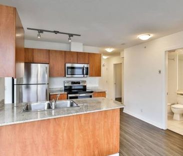 1 bedroom, Stainless-steel appliances, Dishwasher - Photo 4