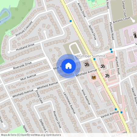 2A Muir Avenue #3, Toronto, Humber Summit