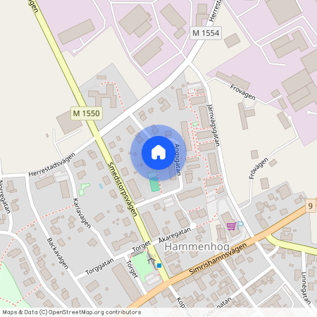 Ängsgatan, Hammenhög