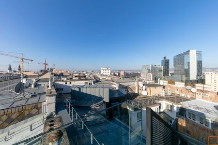 Luxury penthouse on the Danube canal with terraces and 360° views - Photo 5