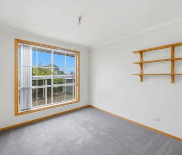 Spacious, Light-Filled Family Home in Peaceful Old Beach - Photo 5