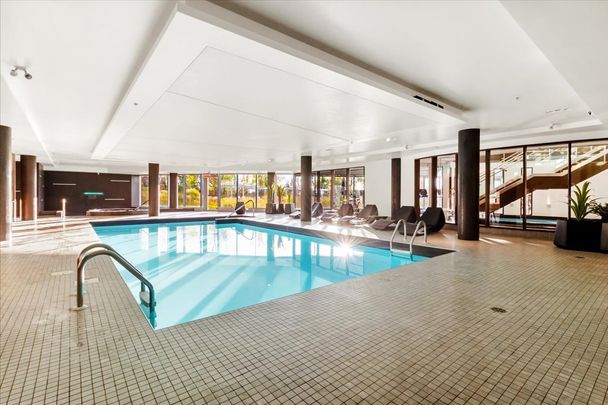 Appartement à louer, Montréal (Verdun/Île-des-Soeurs) - Photo 1