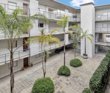 Top-Floor Parnell Living - Photo 5