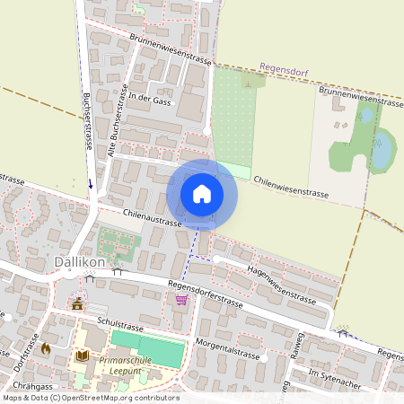 Chilenaustr. 21, 8108, Dällikon