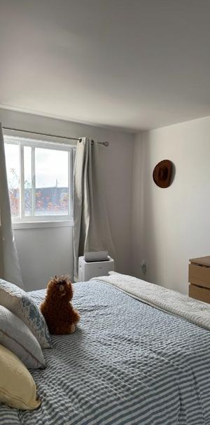 Appartement 4 chambres 1 salle de bain - Photo 1