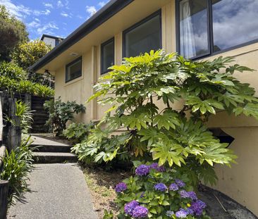 10a St Anne Place, Toi Toi, Nelson - Photo 1