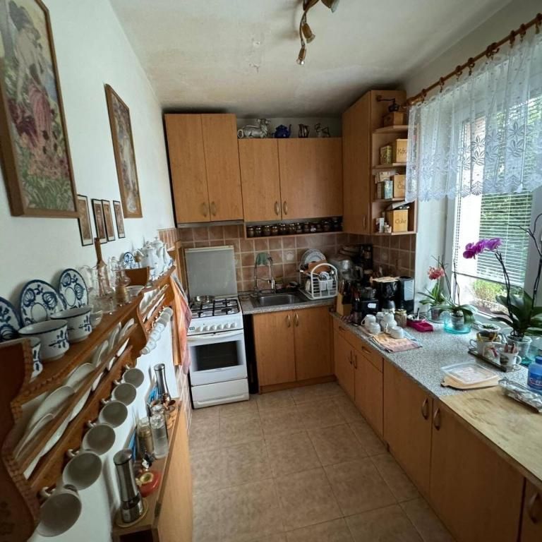 Pronájem bytu 2+1 53 m2 - Fotografie 1