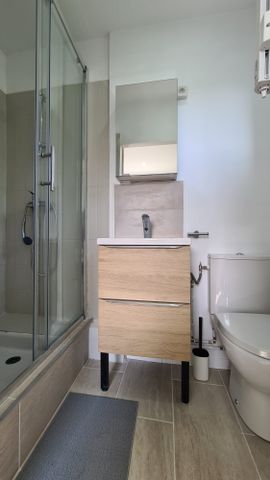 Reims Type 1 meublé avec jardin - Photo 5