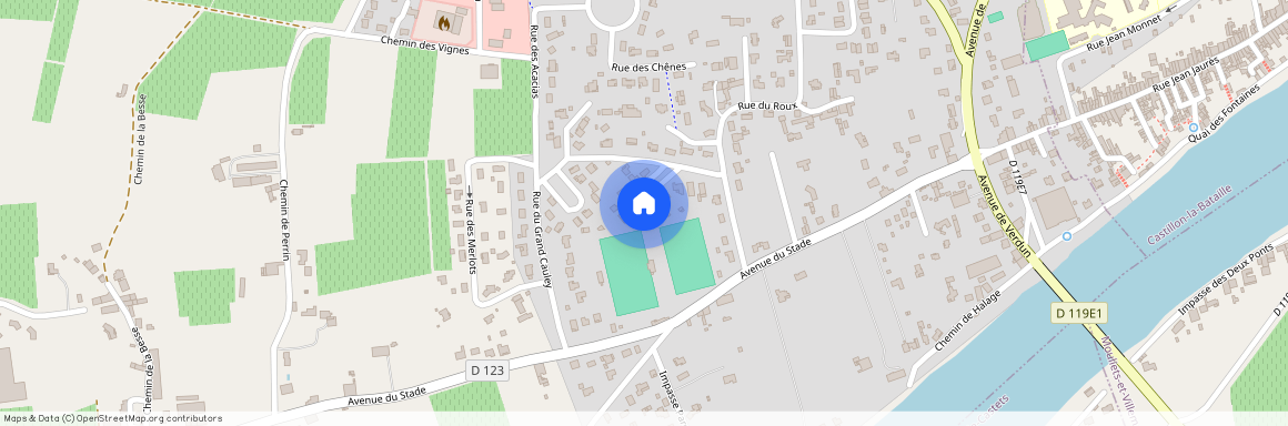 33350, Saint-Magne-De-Castillon