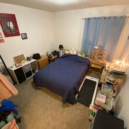 Must see, updated, bright, 3rd floor 1 bed with balcony - Jan 1 - Photo 3