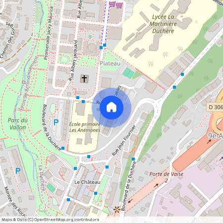 255 rue des Erables, LYON, 69009