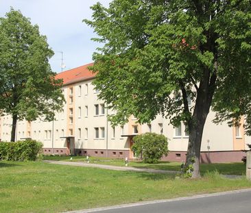 Freundliche 1-Zimmer-Wohnung im Erdgeschoss - Photo 6