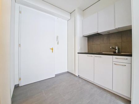 Sion, studio rénové proche des toutes les commodités - Photo 5