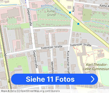 Sanierte 2-Raum-Wohnung im Zentrum - Foto 1