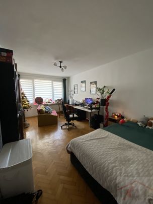 Kawalerka na wynajem w centrum miasta (438817) - Photo 1