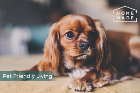 The Slate Yard, M3 - Photo 2