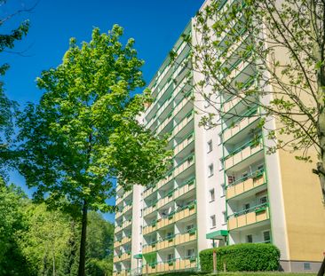 3-Raum-Wohnung mit Blick ins Grüne - Foto 4