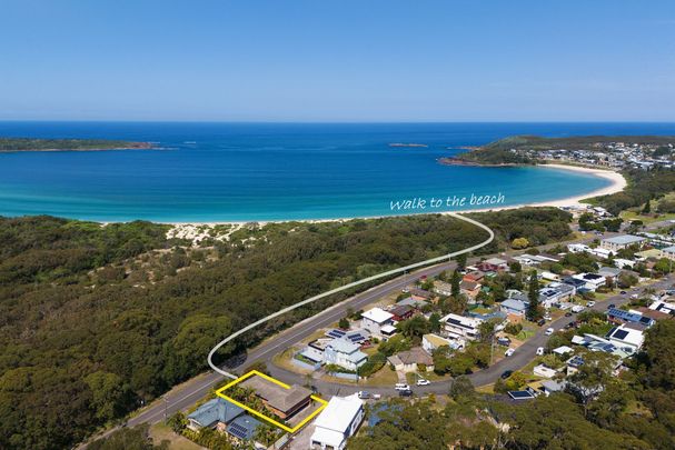 Large 2 Bedroom unit across from Fingal Bay Beach - Photo 1