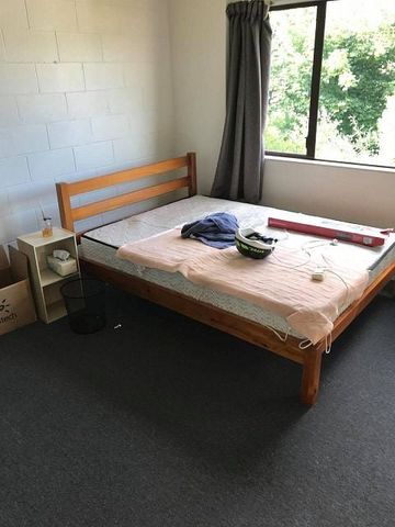Spacious Sunny 6BR Dunedin Delight - Photo 3