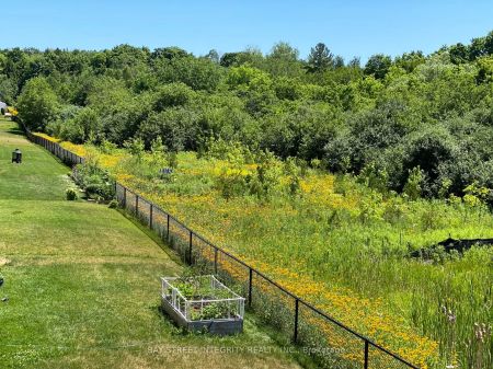 Detached Home For Lease | N9237784 - Photo 3
