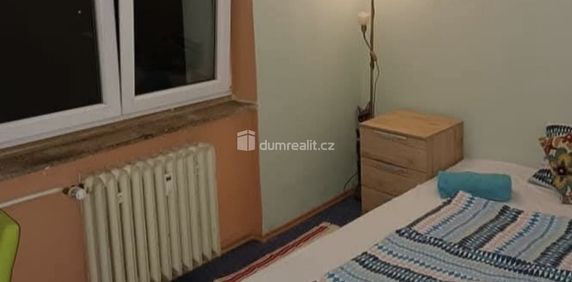Pronájem bytu 5+kk 11 m² - Photo 2