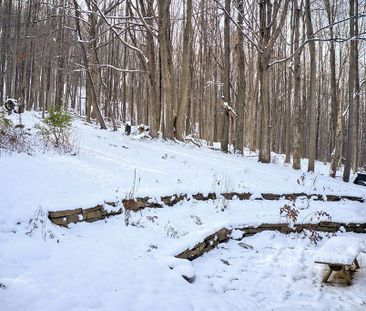 For Lease - 207070 Highway 26 N/A, Meaford, Ontario - Photo 3