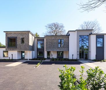 A beautifully finished and spacious one‑bed first‑floor apartment i... - Photo 6