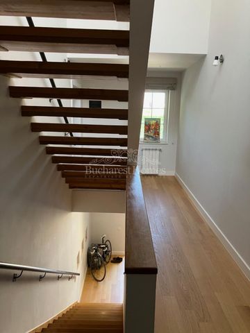 Large, Furnished, Five-Bedroom House - BSB - Photo 3