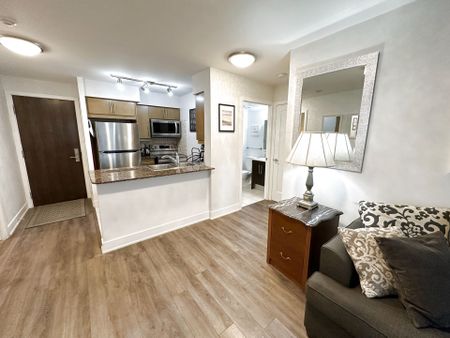 For Lease - 20 Blue Jays Way Unit# 517, Toronto, Ontario - Photo 3