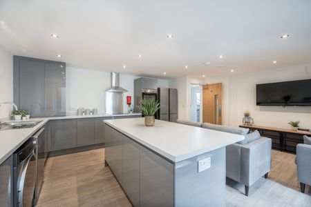 5 Bed Flat, Anglo Works, S1 - Photo 3