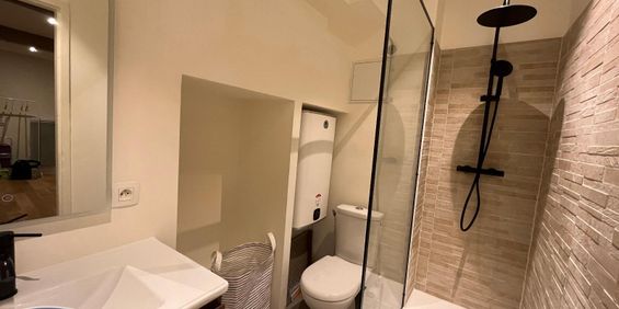 Location Appartement 1 pièce 30m² BORDEAUX 33000 - Photo 3