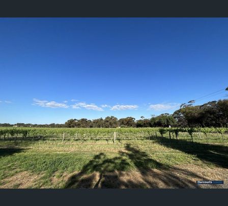 216 Seppeltsfield Road, Nuriootpa, SA 5355 - Photo 1