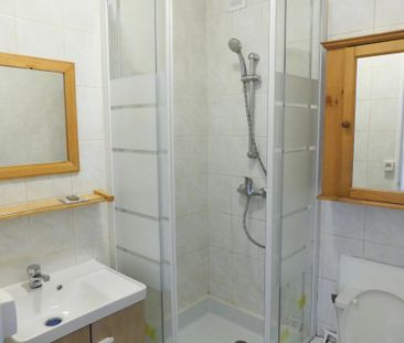 Location Appartement 1 pièce 15m² BOULOGNE BILLANCOURT 92100 - Photo 5