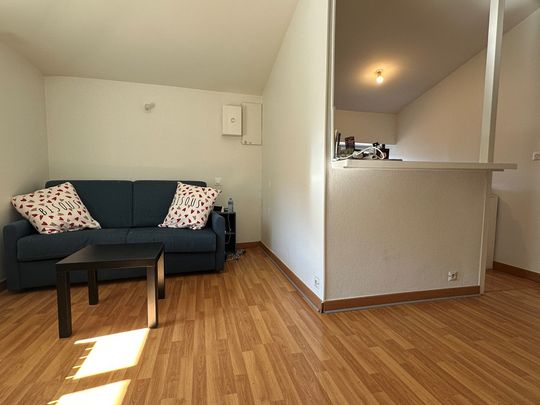 Location Appartement 1 pièce 29m² COUZON AU MONT D OR 69270 - Photo 1