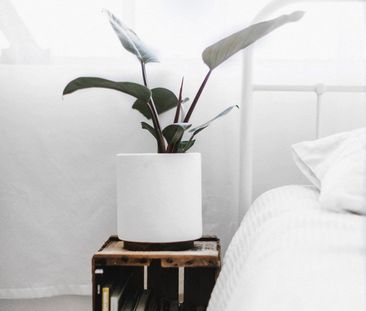 Sylvania Waters - Photo 3