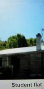 Charming Home in North Dunedin! - Photo 4