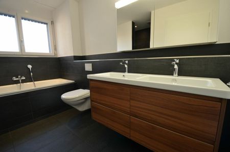 Wohnpark "untere Grüneck" in 8555 Müllheim - Foto 5