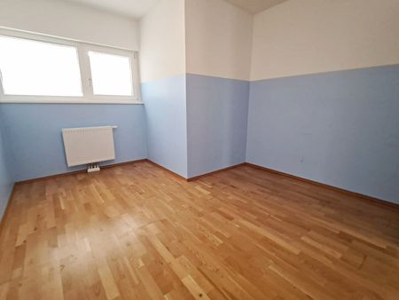 UNBEFRISTET, HOFRUHELAGE, 106 m2 Gewerbefläche mit 41 m2 Terrasse, 4 Zimmer, Küche, Sanitäranlagen, Parketten - Photo 2