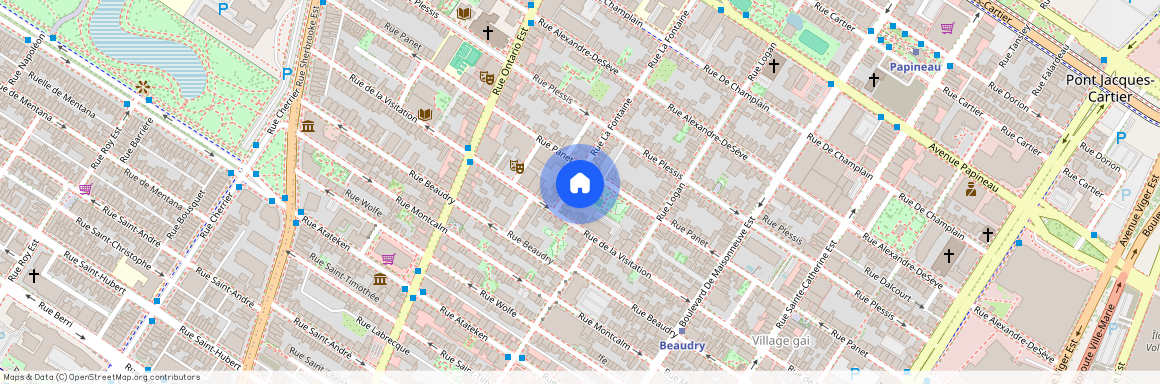 1322 Rue La Fontaine, Montréal (Ville-Marie), QC H2L