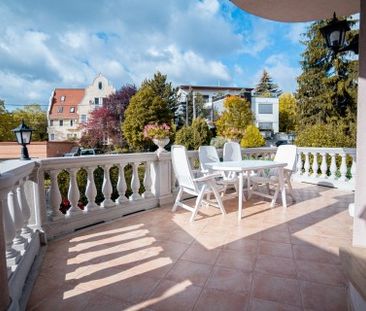 Pálvölgyi köz - Fotó 5