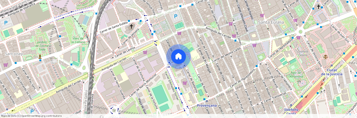 Carrer d'Amadeu Torner, L'Hospitalet de Llobregat, Catalonia 08902, L-Hospitalet-De-Llobregat