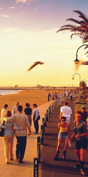 THE BEDSIT APARTMENT - Photo 2