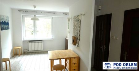 Żywiec, - Фото 3