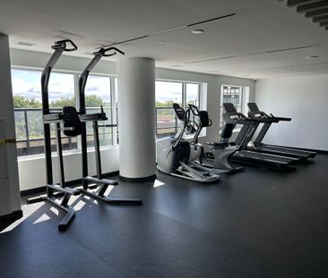 For Lease - 8020 Derry Road Unit# 1001, Milton, Ontario - Photo 3