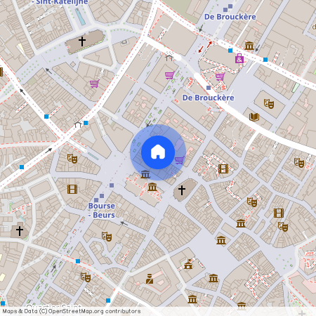 Kiekenmarkt 45 / 101, 1000 Brussel