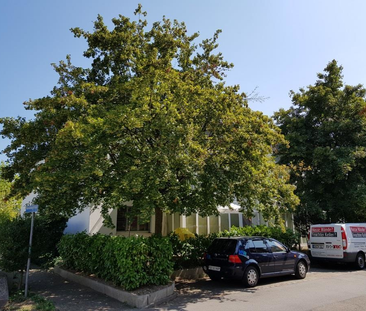 Gartenwohnung nähe Dorfzentrum! - Foto 3 | Rentumo