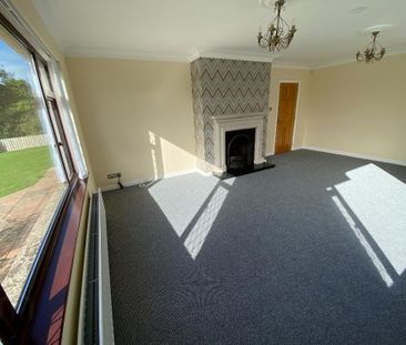 29a Drumnaconagher Road, Crossgar, Downpatrick, BT30 9JQ - Photo 1