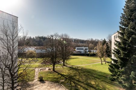 Bright 2-room apartment on 3rd floor completely renovated in 2025 - Foto 3